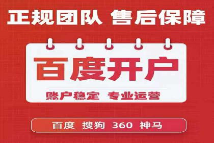 某电商平台的SEM优化案例分享